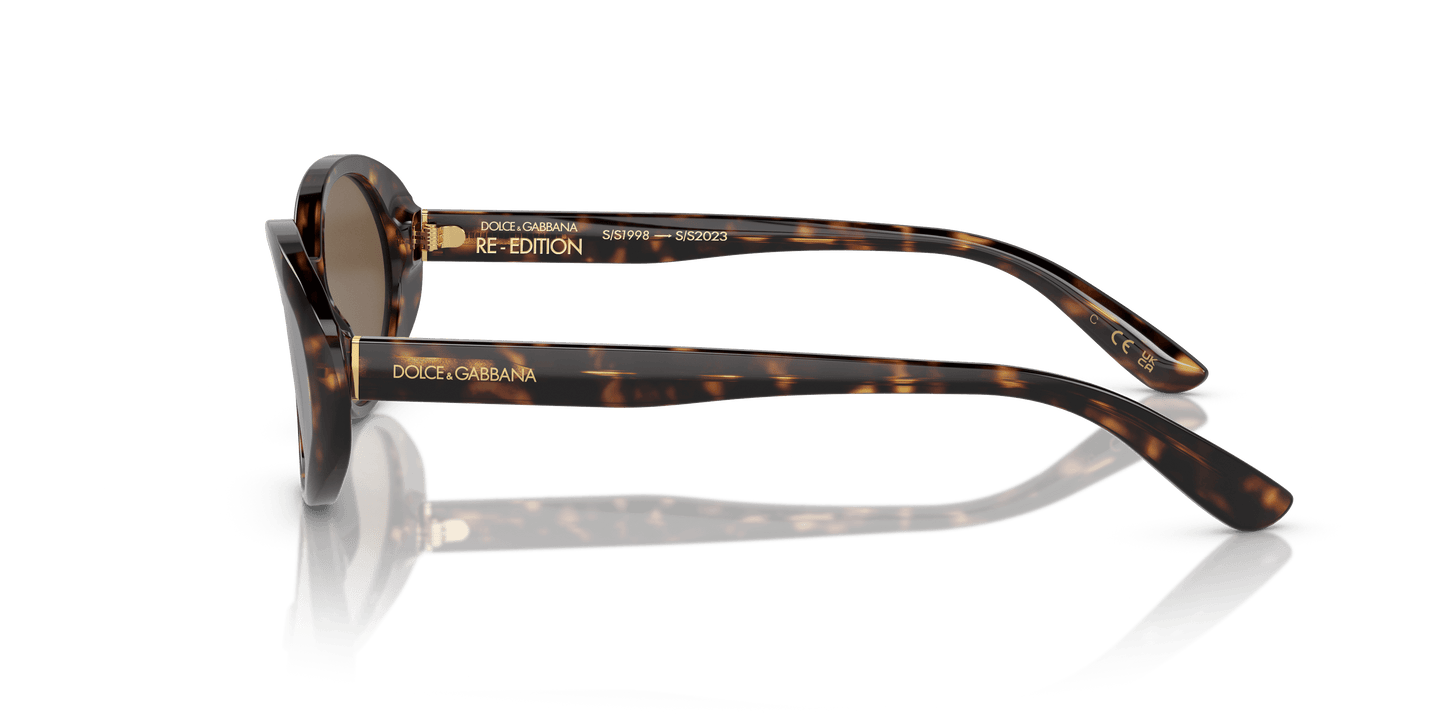 Dolce & Gabbana Sunglasses Havana-Dark Brown | Dolce&Gabbana DG4443 Havana-Dark Brown