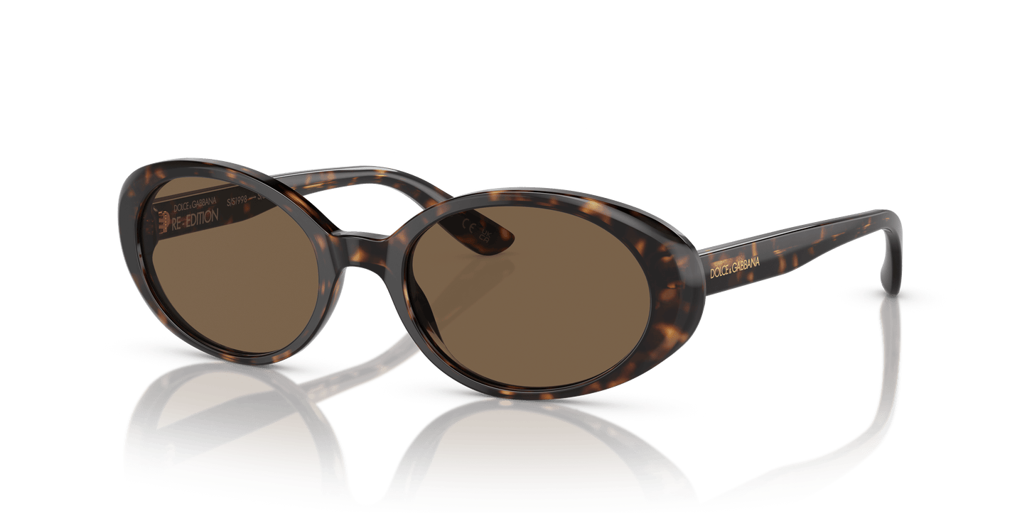 Dolce & Gabbana Sunglasses Havana-Dark Brown | Dolce&Gabbana DG4443 Havana-Dark Brown