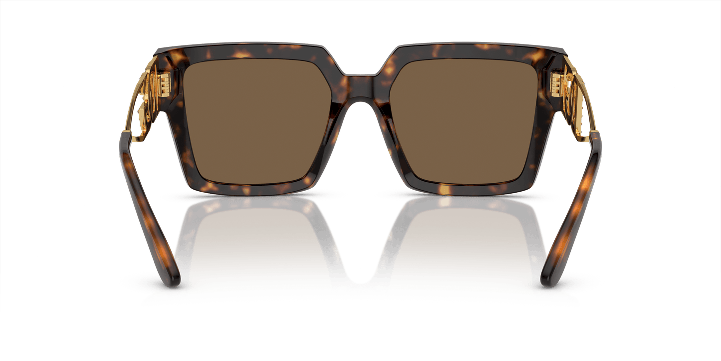 משקפי שמש דולצ'ה וגבאנה הוואנה-חום כהה | Dolce&Gabbana DG4446B Havana-Dark Brown