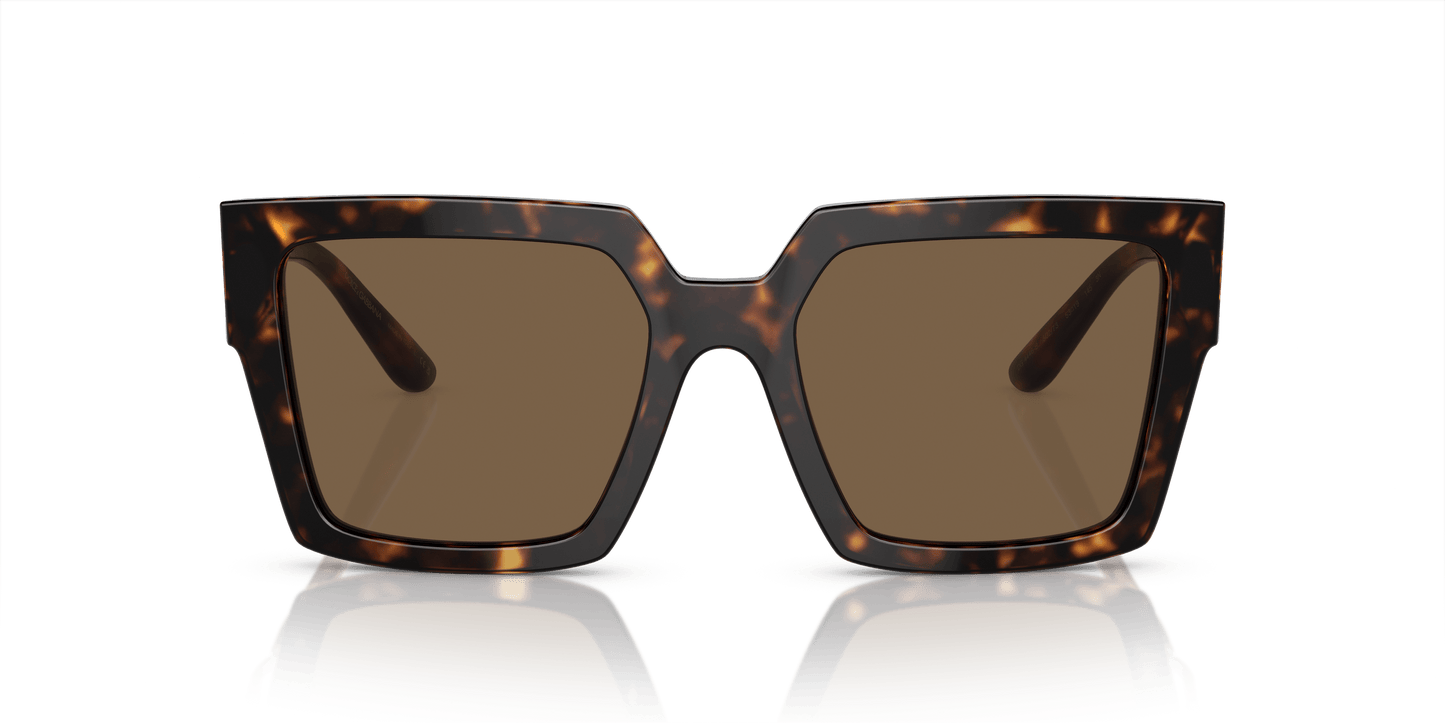 משקפי שמש דולצ'ה וגבאנה הוואנה-חום כהה | Dolce&Gabbana DG4446B Havana-Dark Brown
