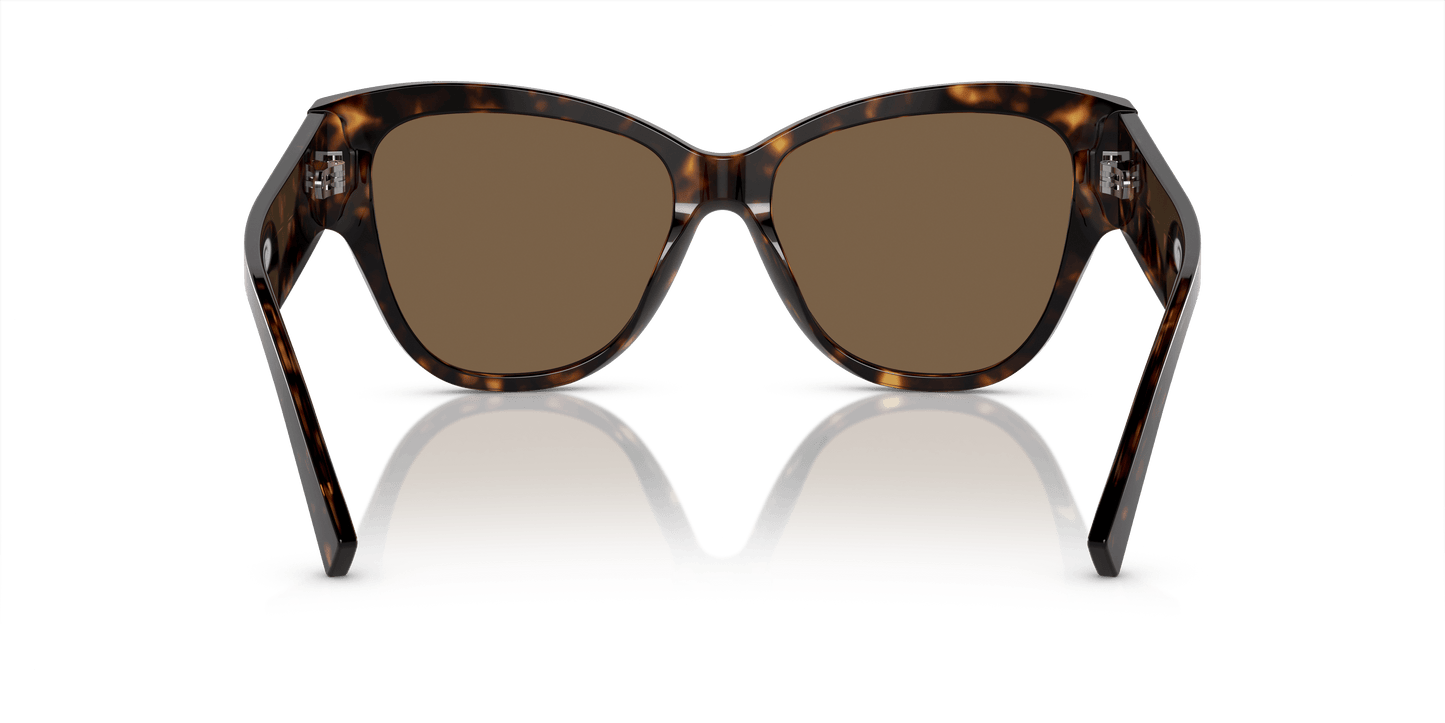 משקפי שמש דולצ'ה וגבאנה הוואנה-חום כהה | Dolce&Gabbana DG4449 Havana-Dark Brown