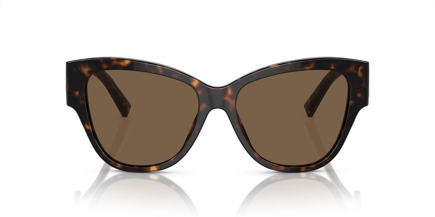 משקפי שמש דולצ'ה וגבאנה הוואנה-חום כהה | Dolce&Gabbana DG4449 Havana-Dark Brown