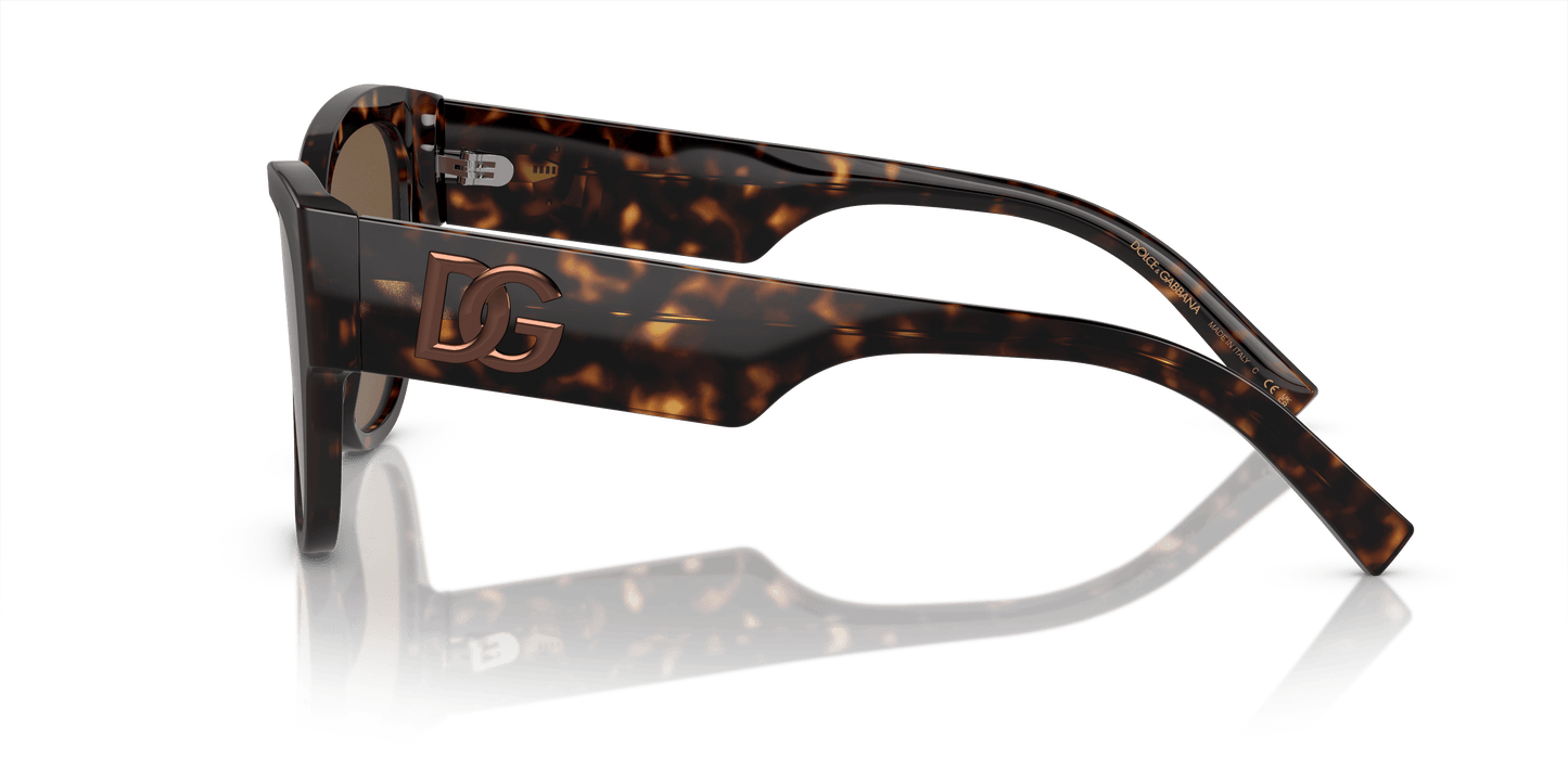משקפי שמש דולצ'ה וגבאנה הוואנה-חום כהה | Dolce&Gabbana DG4449 Havana-Dark Brown