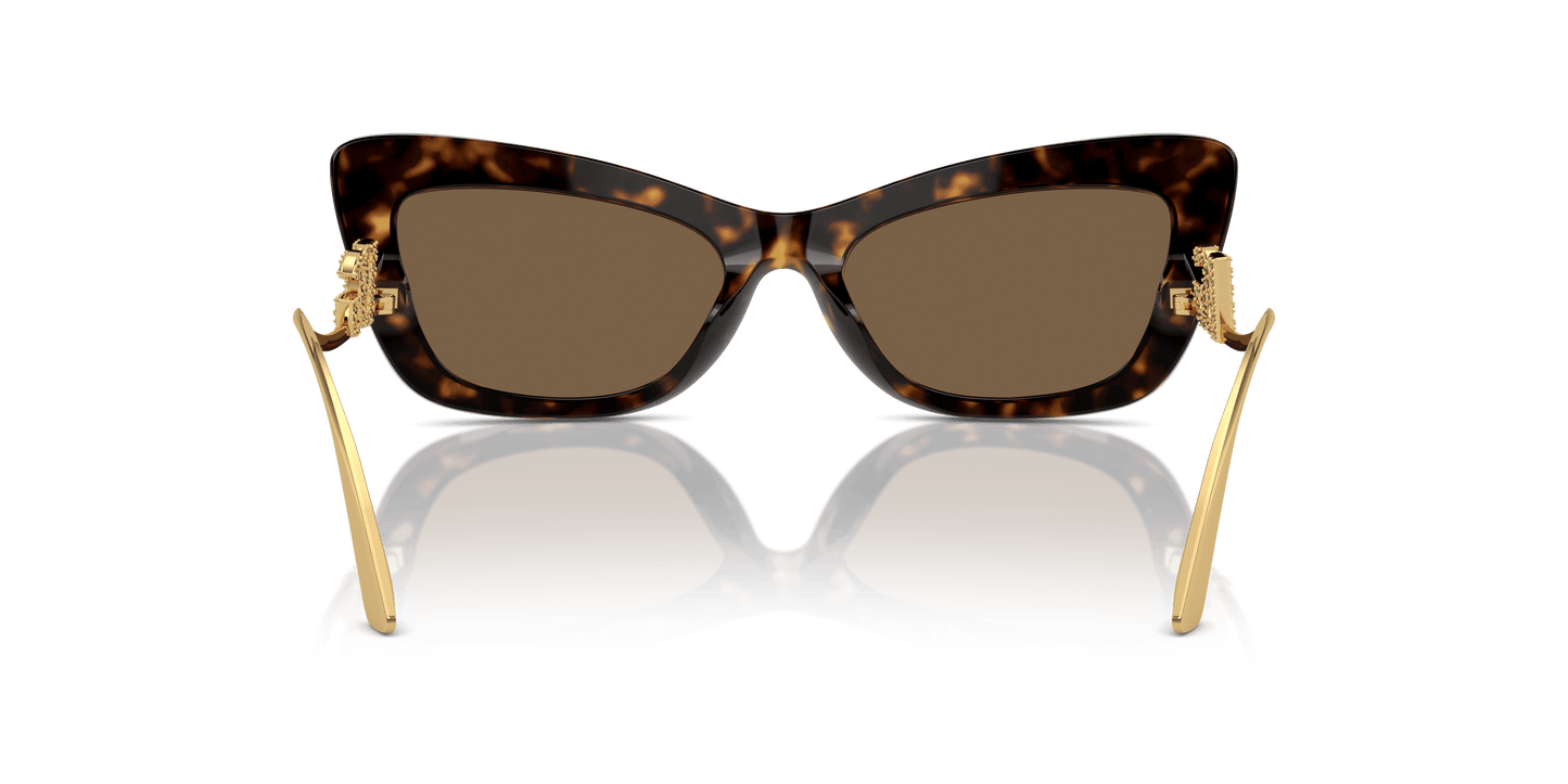 משקפי שמש דולצ'ה וגבאנה הוואנה-חום כהה | Dolce&Gabbana DG4467B Havana-Dark Brown
