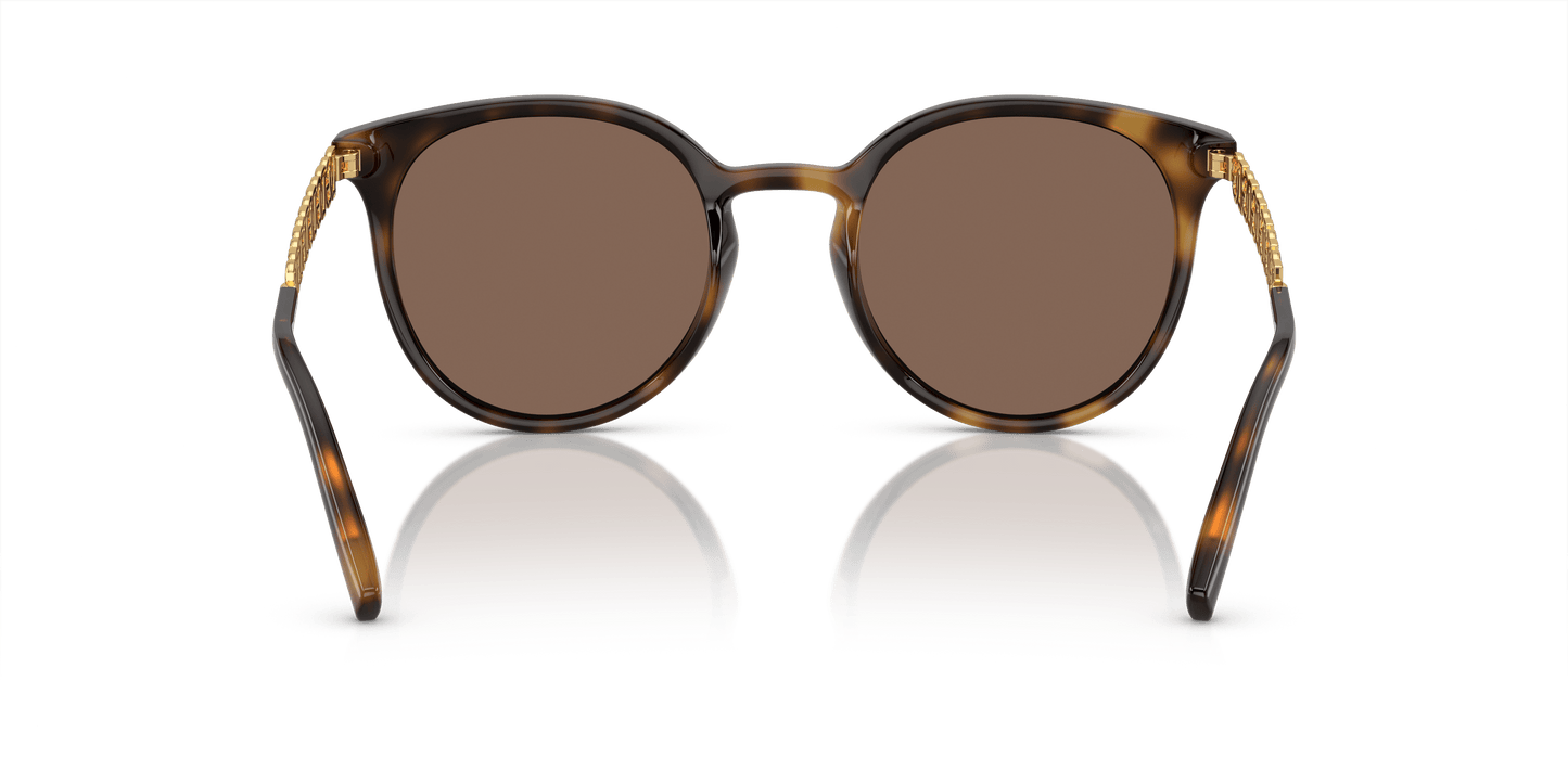 משקפי שמש דולצ'ה וגבאנה הוואנה-חום כהה | Dolce&Gabbana DG6189U Havana-Dark Brown