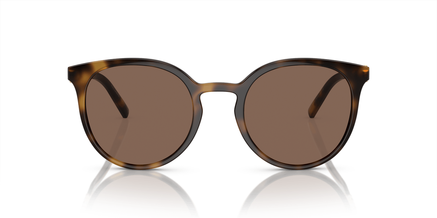 משקפי שמש דולצ'ה וגבאנה הוואנה-חום כהה | Dolce&Gabbana DG6189U Havana-Dark Brown