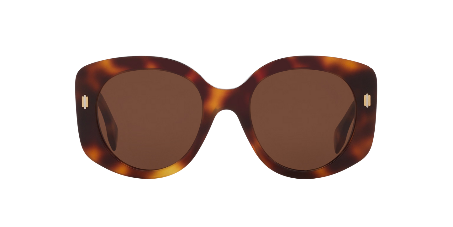 Fendi Roma Sunglasses Tortoise-Brown | FENDI Fendi Roma FE40137I Tortoise-Brown