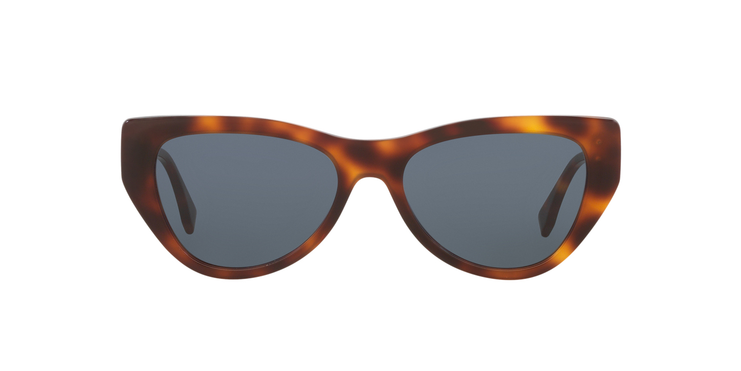 Fendi Tortoise-Blue Sunglasses | FENDI FE40149I Tortoise-Blue