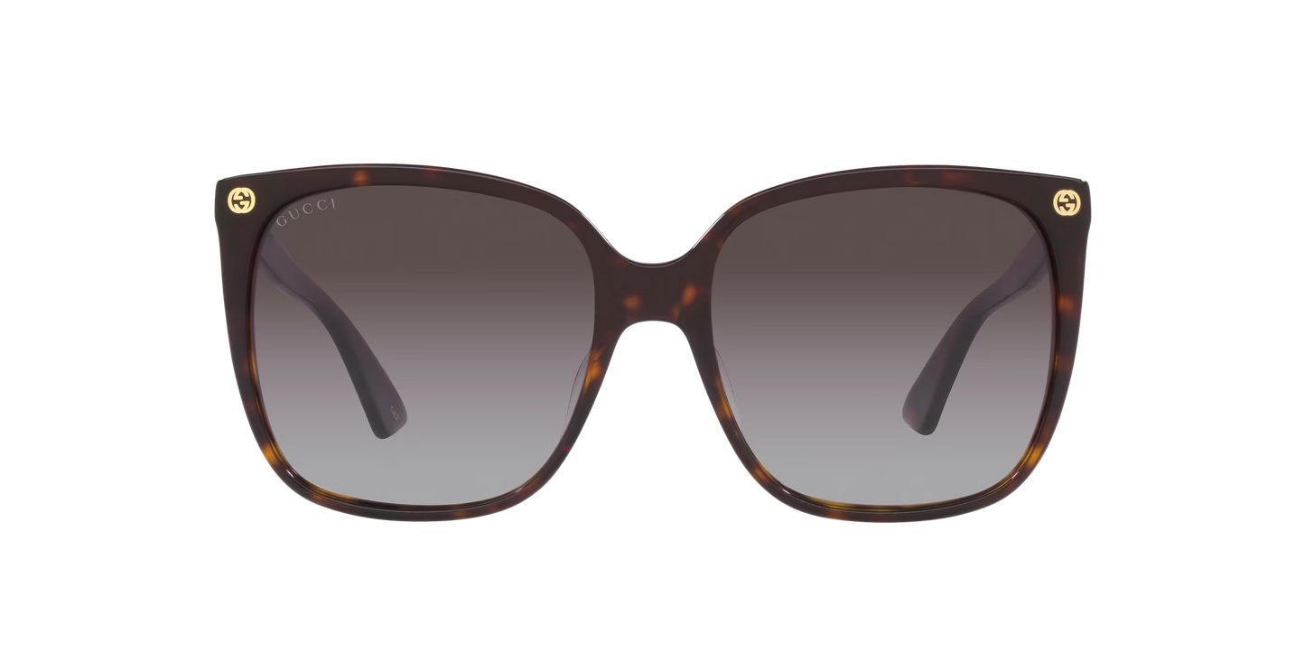 משקפי שמש של גוצ'י צב-חום | GUCCI GG0022S Tortoise-Brown