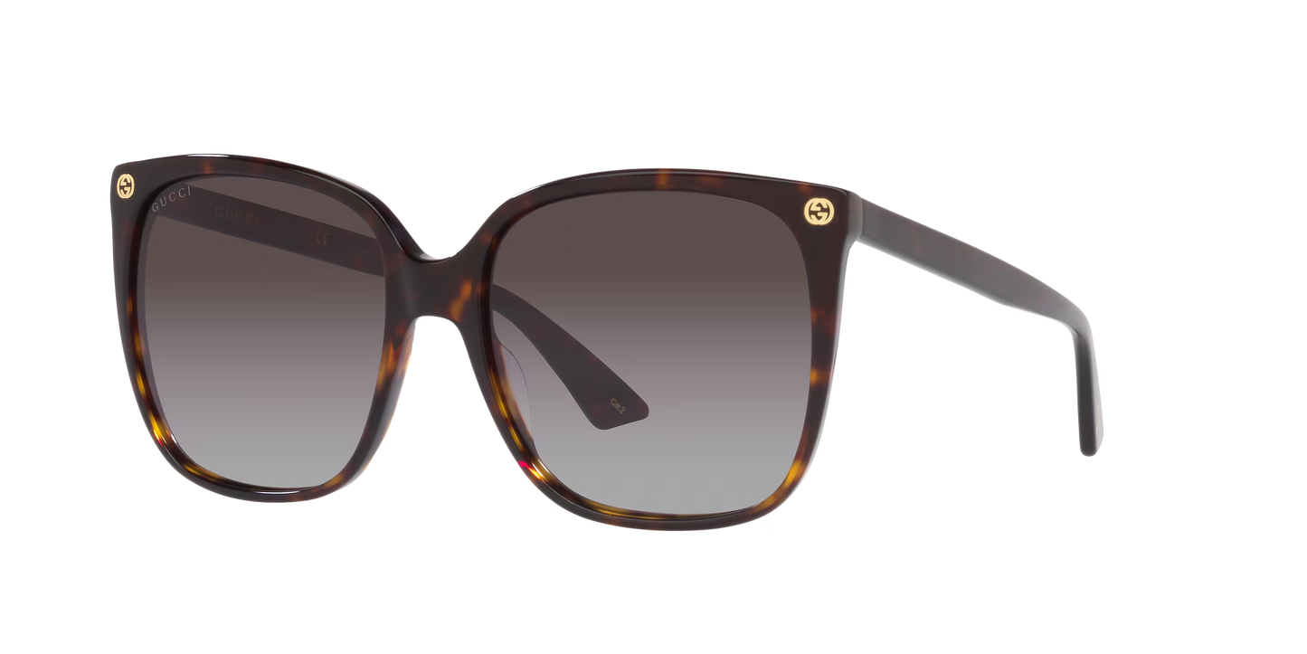 משקפי שמש של גוצ'י צב-חום | GUCCI GG0022S Tortoise-Brown