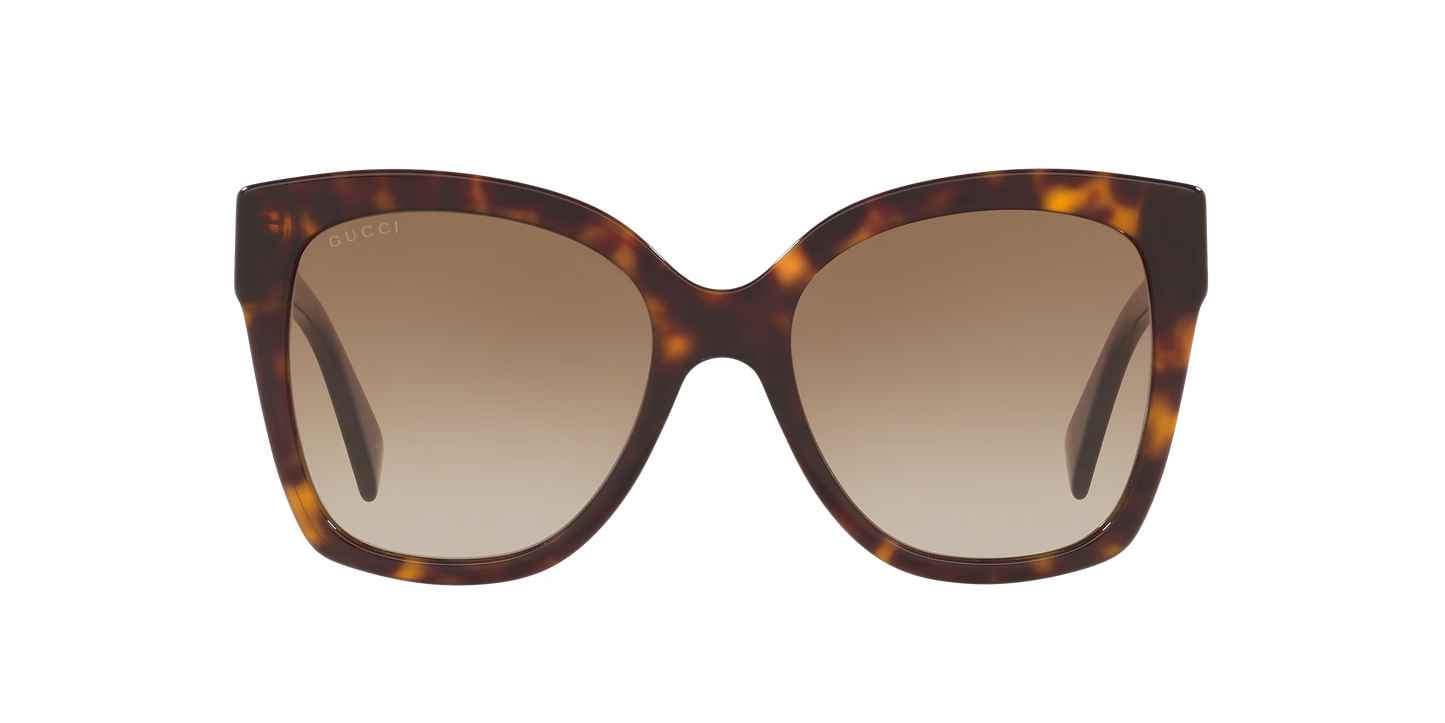 משקפי שמש של גוצ'י צב-חום | GUCCI GG0459S Tortoise-Brown