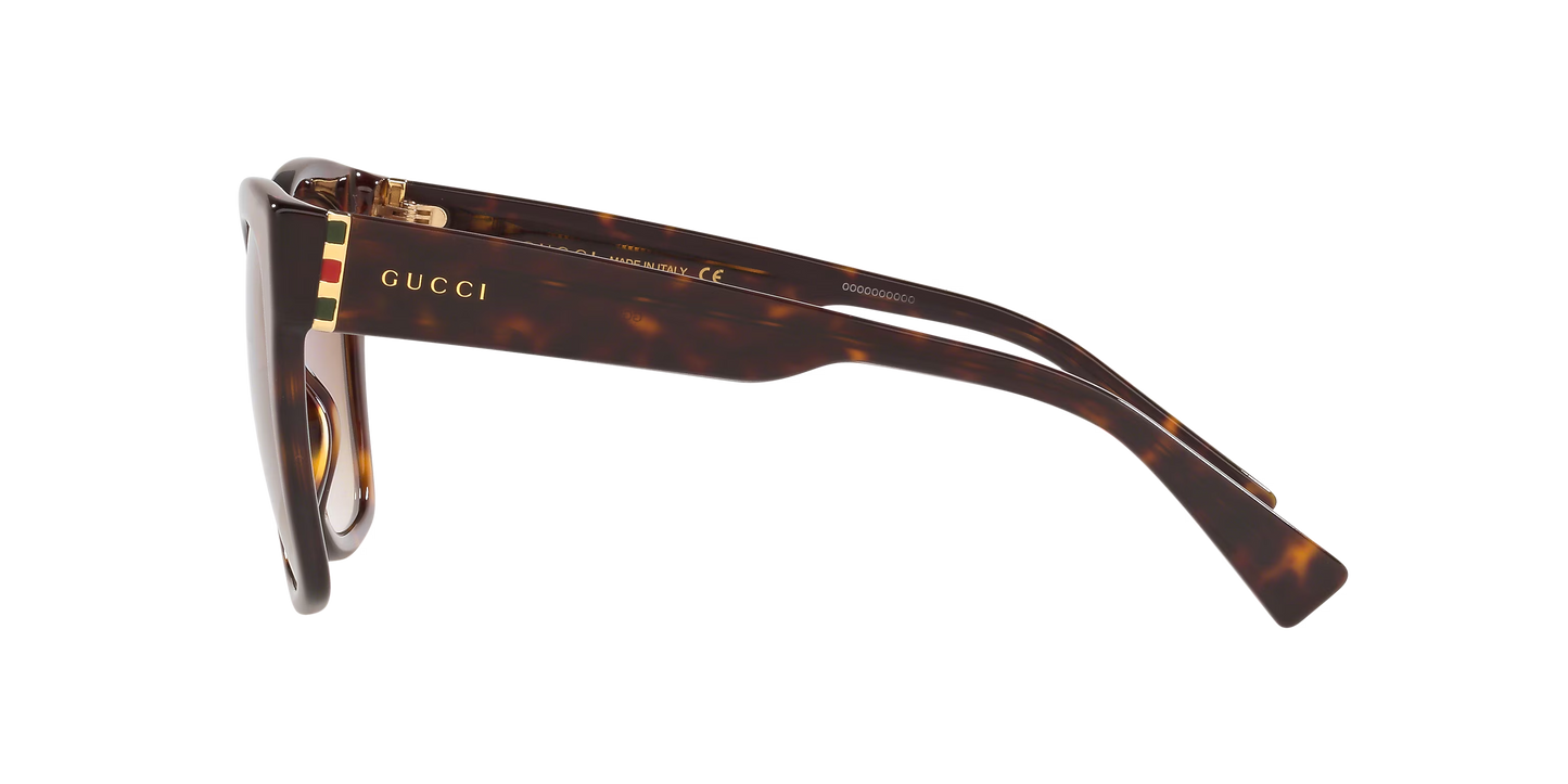 משקפי שמש של גוצ'י צב-חום | GUCCI GG0459S Tortoise-Brown