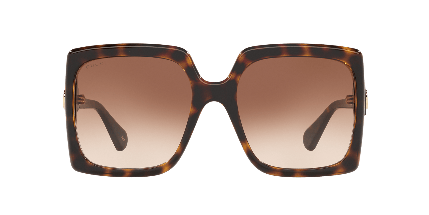 Gucci Tortoise-Brown Sunglasses | GUCCI GG0876S Tortoise-Brown