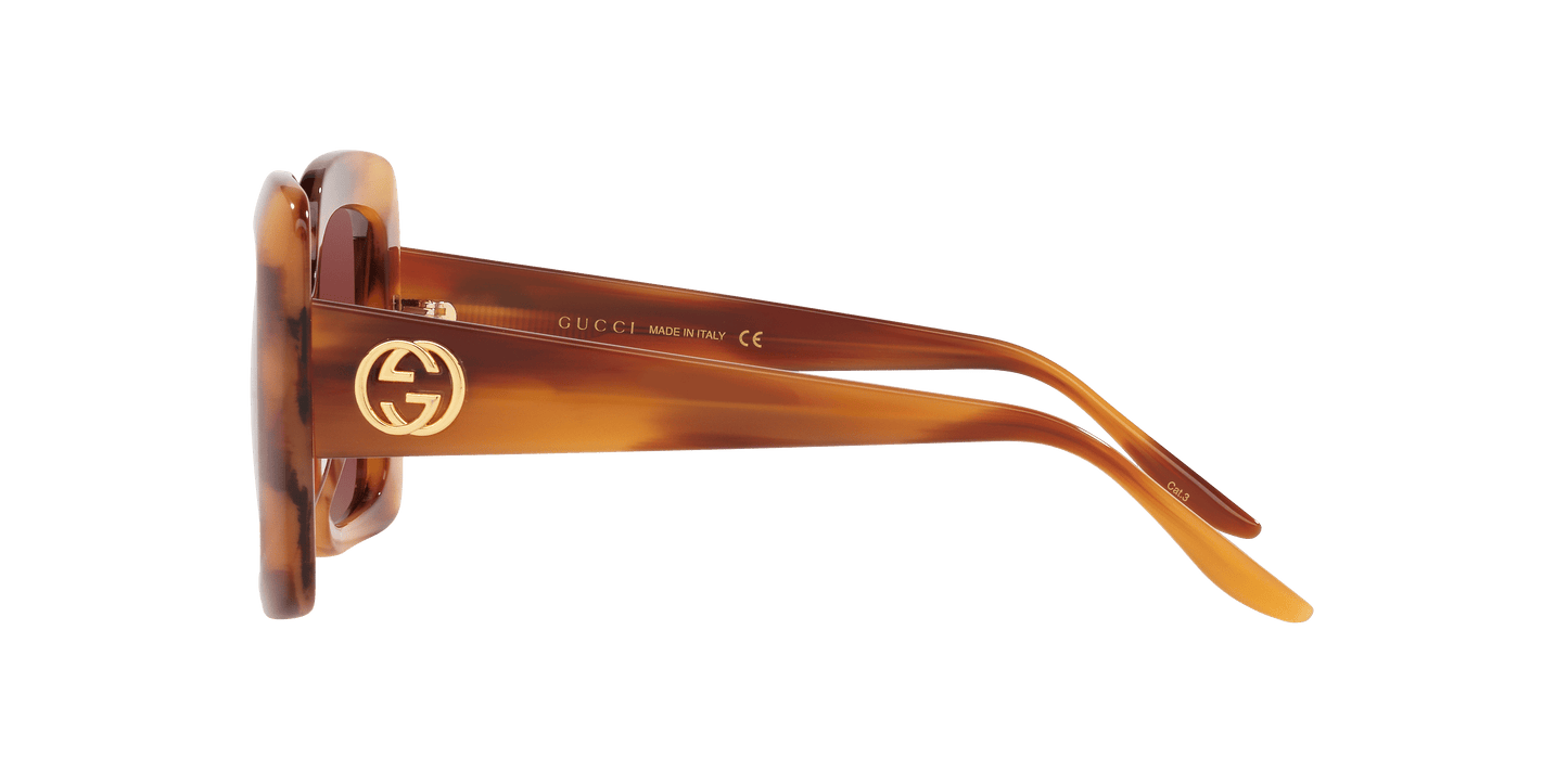 משקפי שמש של גוצ'י חום-סגול | GUCCI GG0896S Brown-Purple