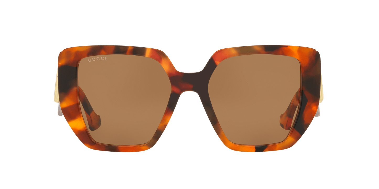Gucci Tortoise-Brown Sunglasses | GUCCI GG0956S Tortoise-Brown