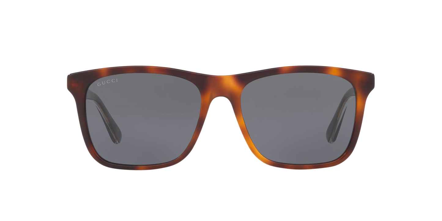 Gucci sunglasses brown-brown | GUCCI GG0381SN Brown-Brown