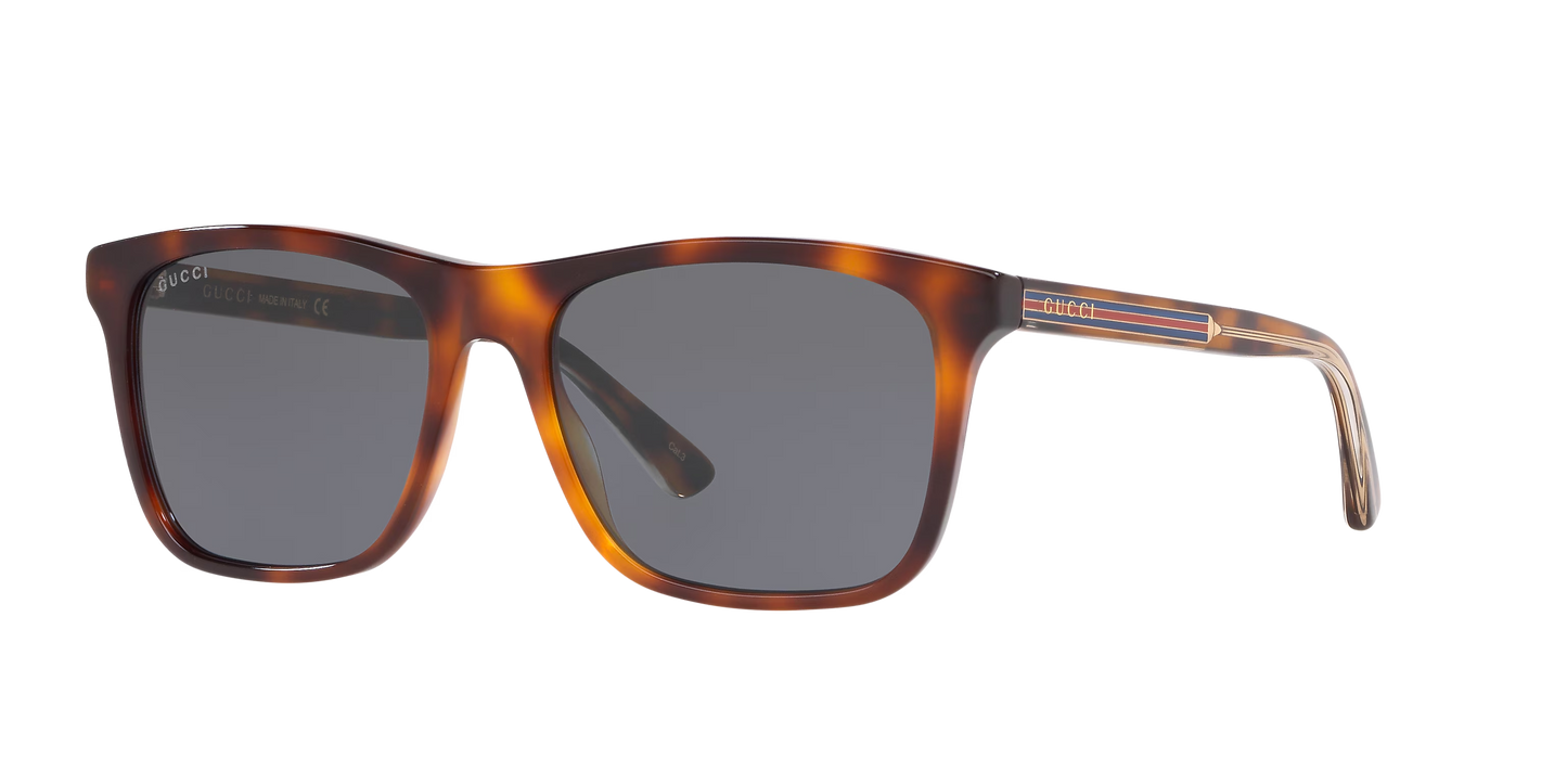 Gucci sunglasses brown-brown | GUCCI GG0381SN Brown-Brown