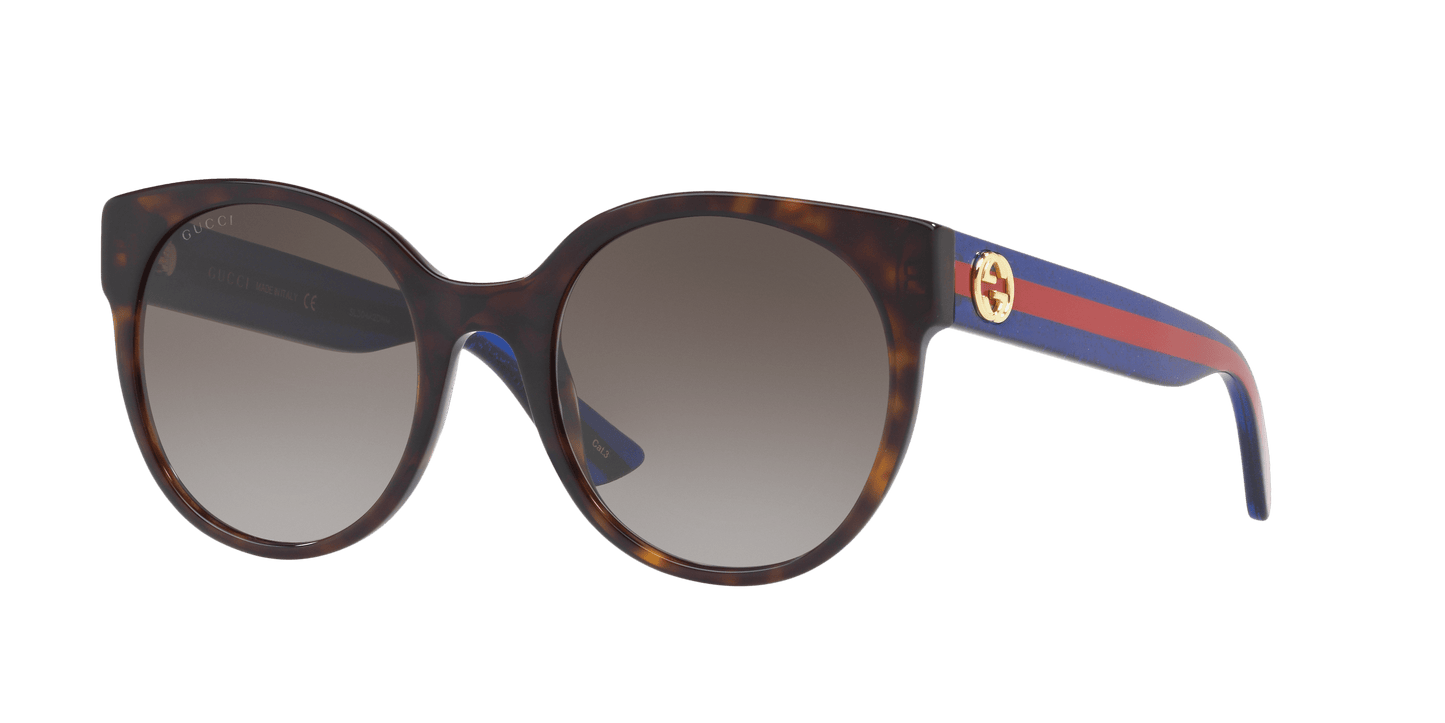 Gucci Brown Sunglasses | GUCCI GG0035SN Brown