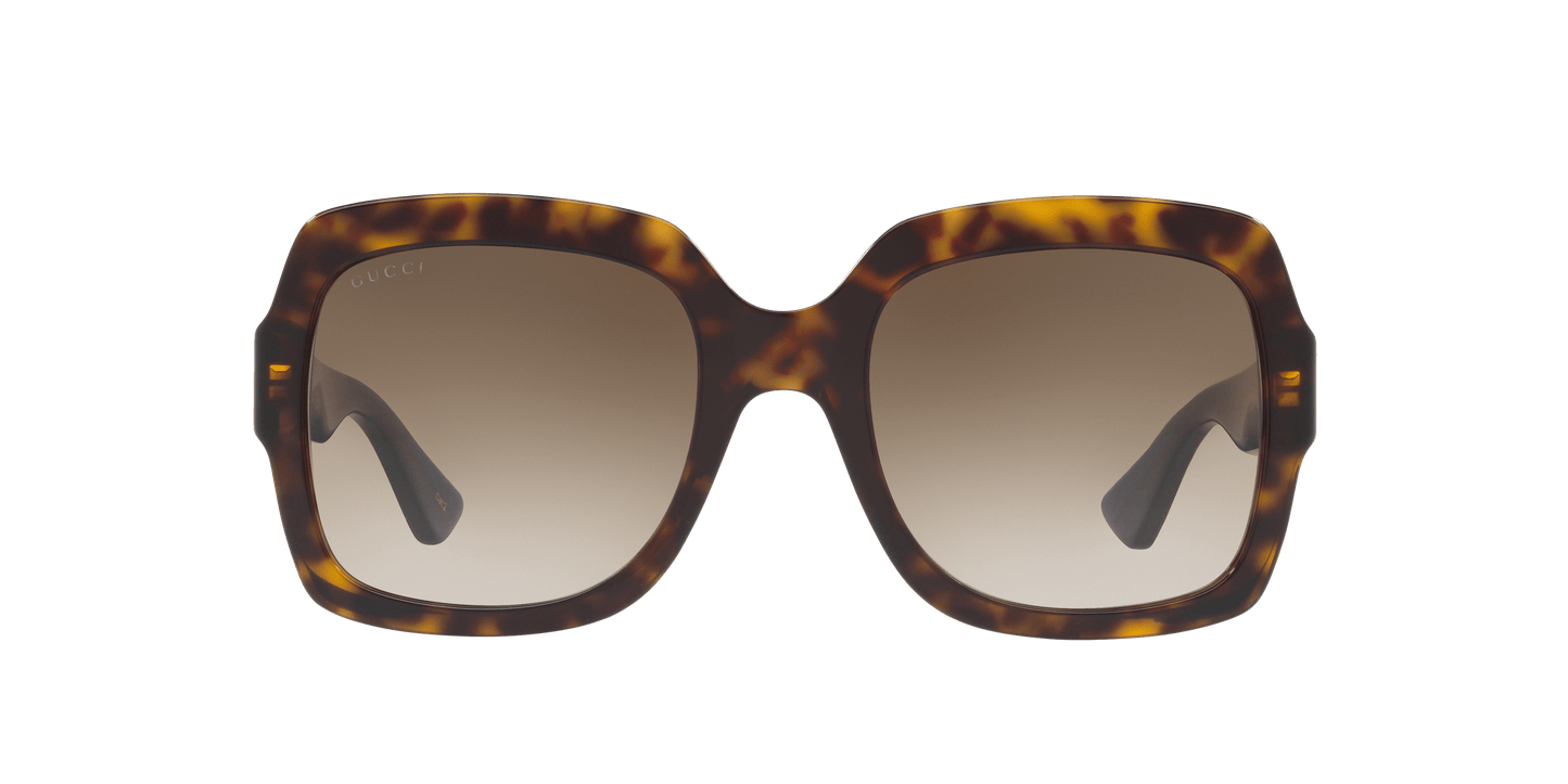 Gucci Brown-Blue Sunglasses | GUCCI GG0036SN Brown-Blue