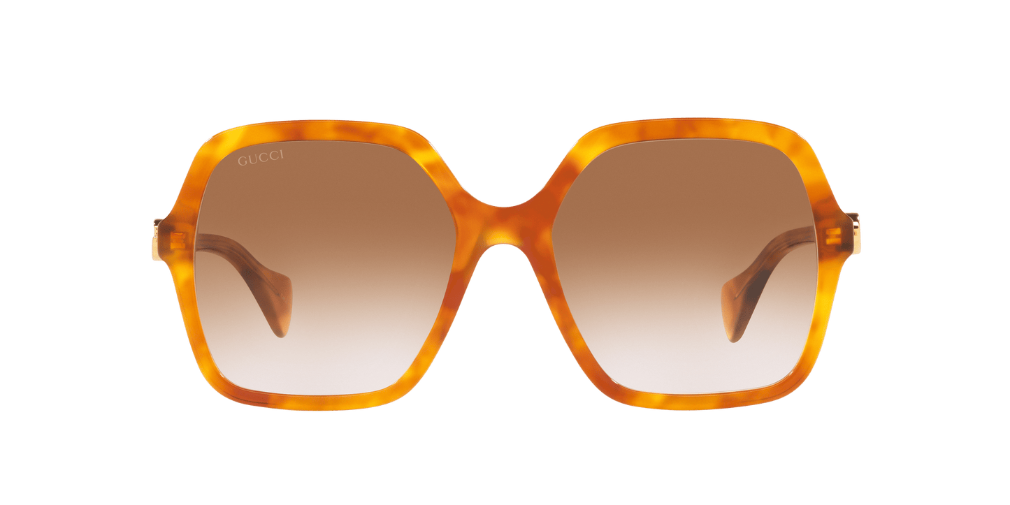 משקפי שמש של גוצ'י חום שחור-חום | GUCCI GG1072S Brown Black-Brown