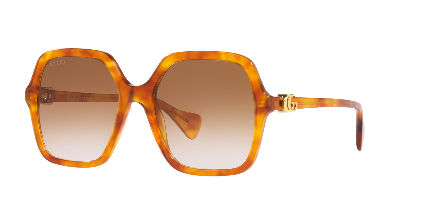 משקפי שמש של גוצ'י חום שחור-חום | GUCCI GG1072S Brown Black-Brown