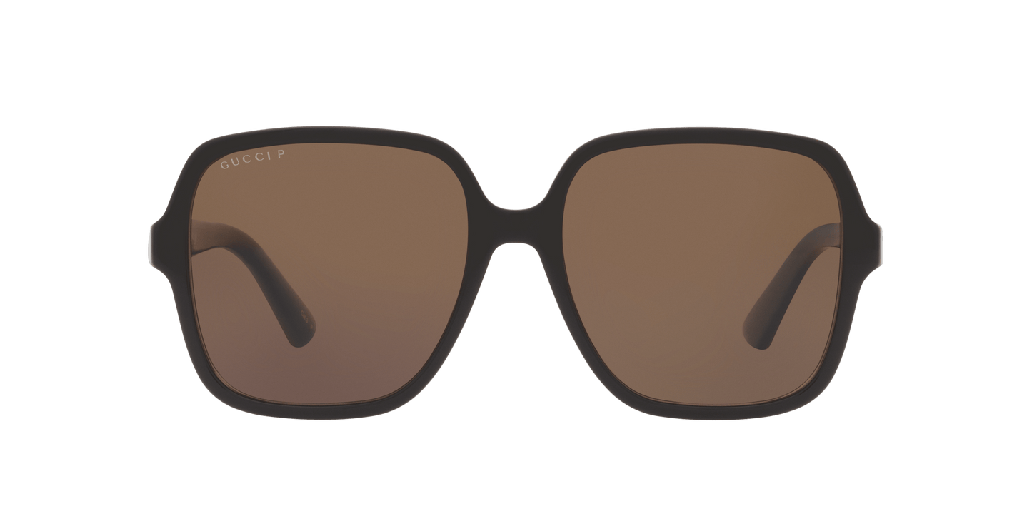 משקפי שמש של גוצ'י שחור-חום | GUCCI GG1189S Black-Brown