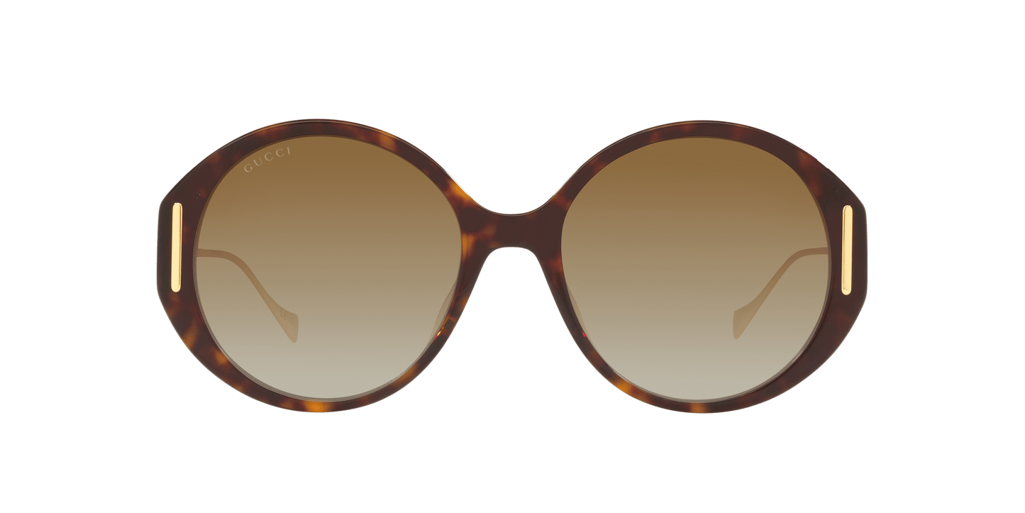 משקפי שמש של גוצ'י בראון | GUCCI GG1202S Brown