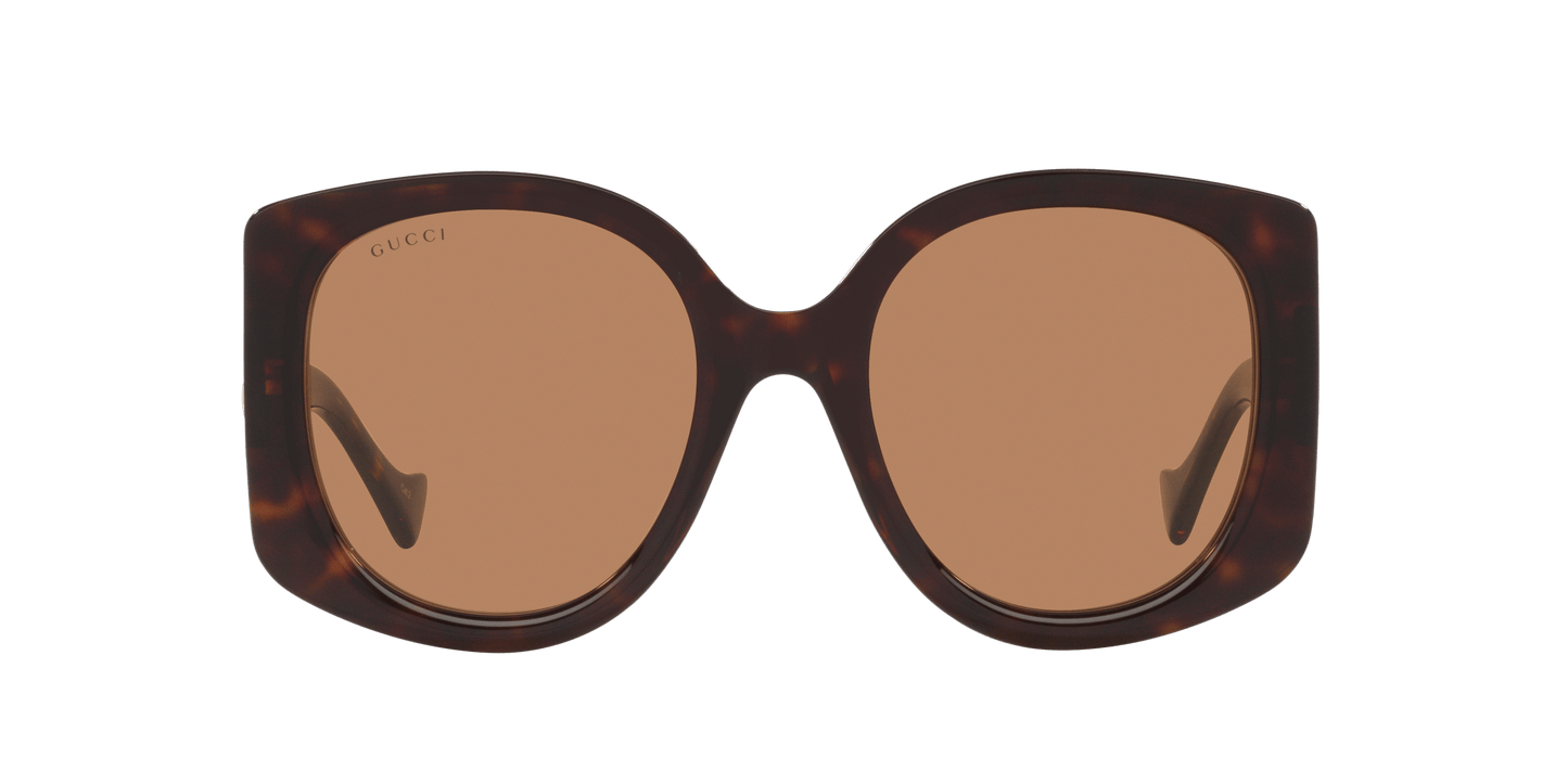 משקפי שמש של גוצ'י צב-חום | GUCCI GG1257S Tortoise-Brown