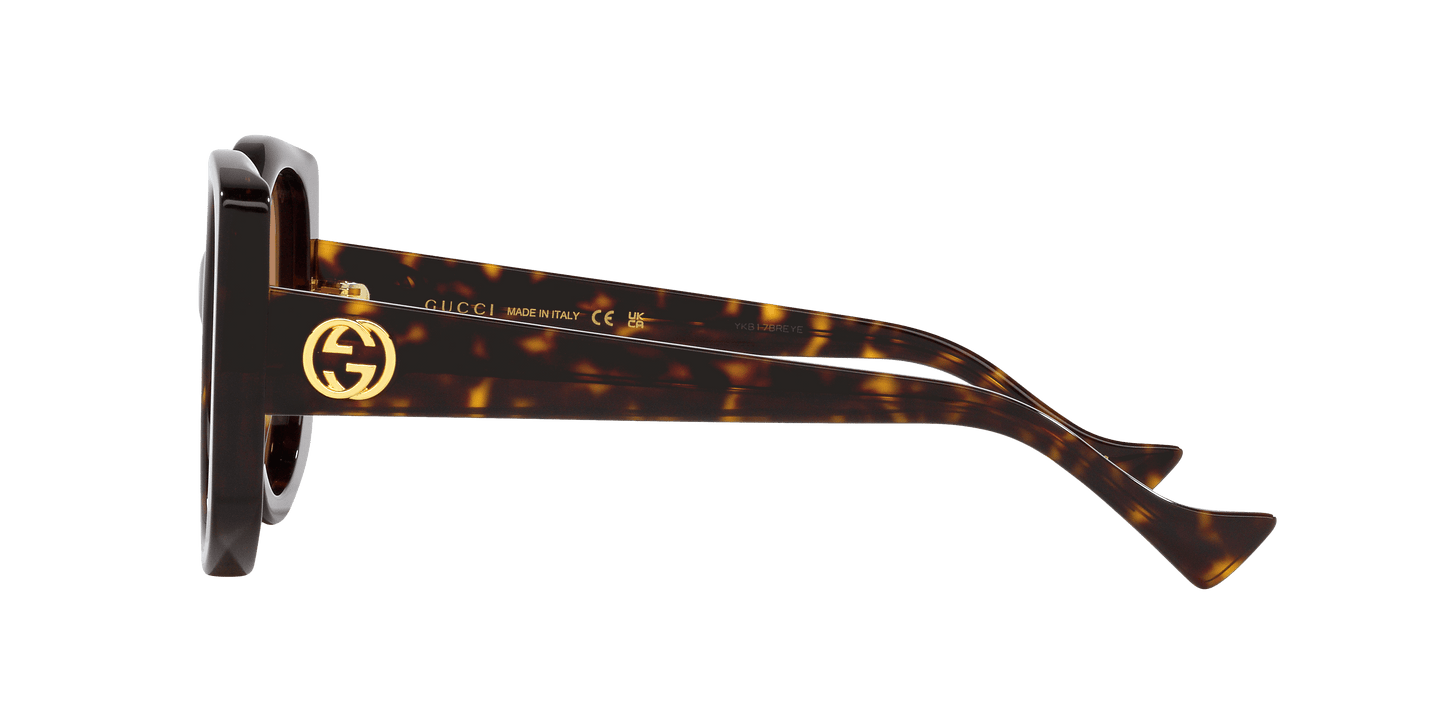משקפי שמש של גוצ'י צב-חום | GUCCI GG1257S Tortoise-Brown