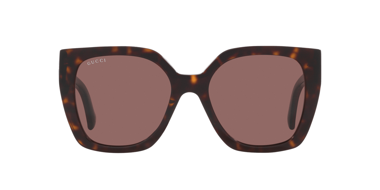 משקפי שמש של גוצ'י צב-חום | GUCCI GG1300S Tortoise-Brown