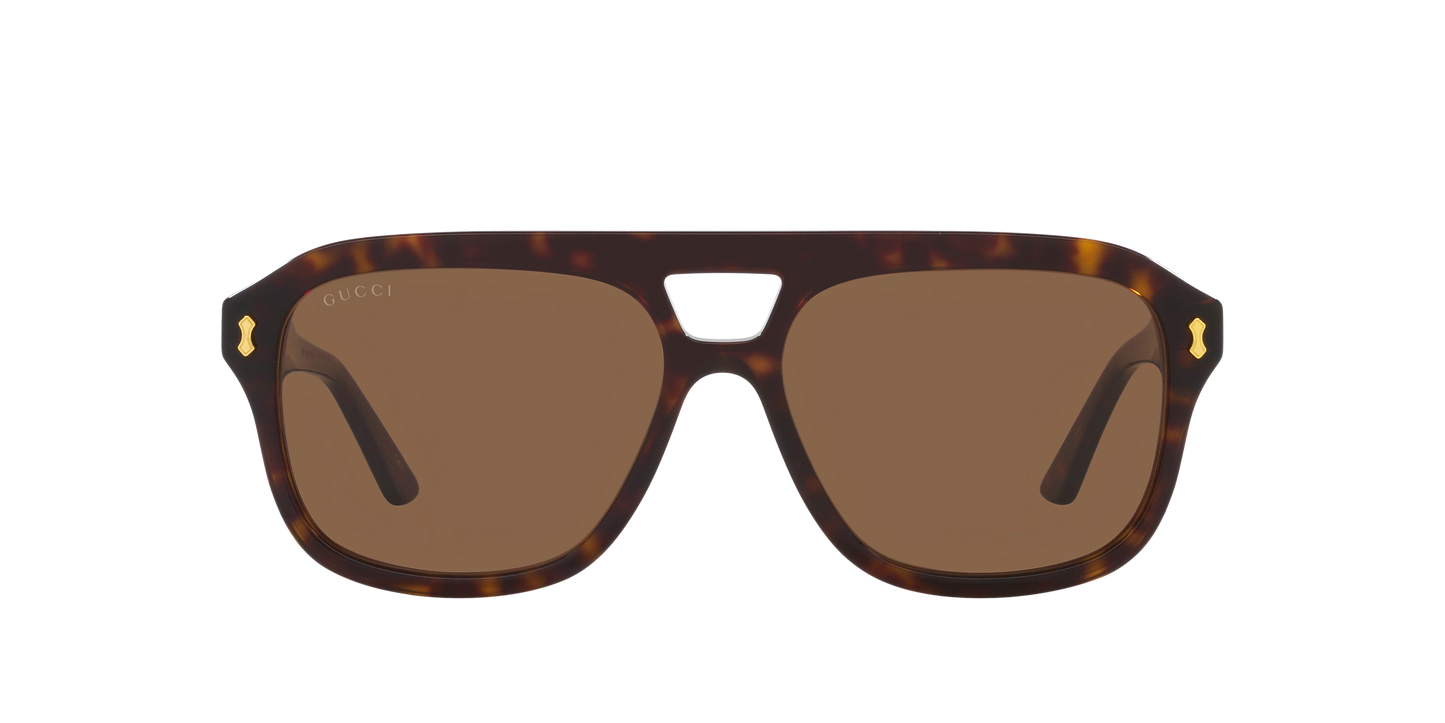 משקפי שמש של גוצ'י צב-חום | GUCCI GG1263S Tortoise-Brown