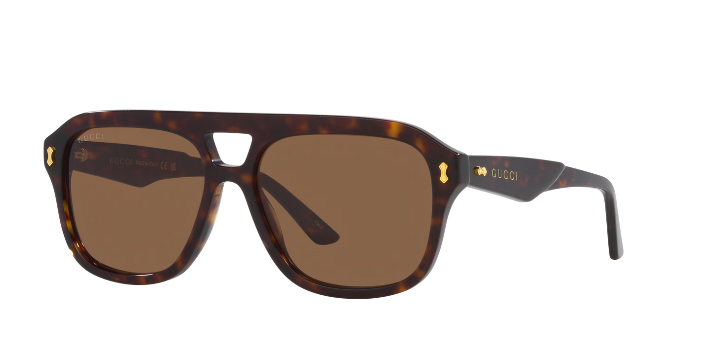 משקפי שמש של גוצ'י צב-חום | GUCCI GG1263S Tortoise-Brown
