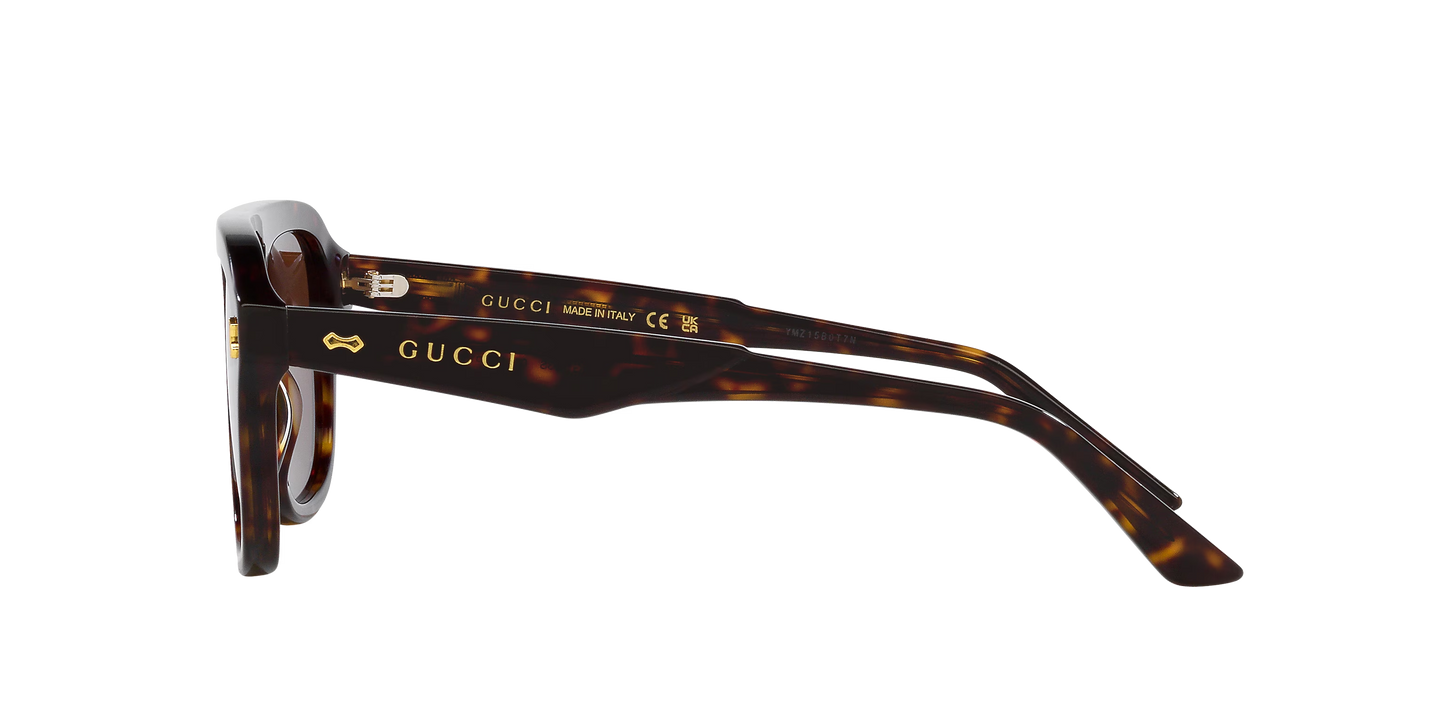 משקפי שמש של גוצ'י צב-חום | GUCCI GG1263S Tortoise-Brown