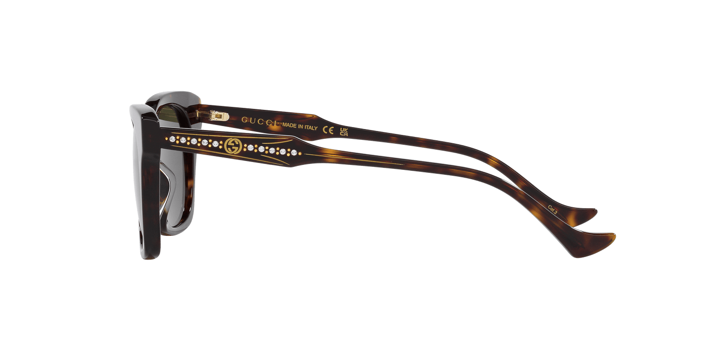 משקפי שמש של גוצ'י צב-ירוק | GUCCI GG1299S Tortoise-Green