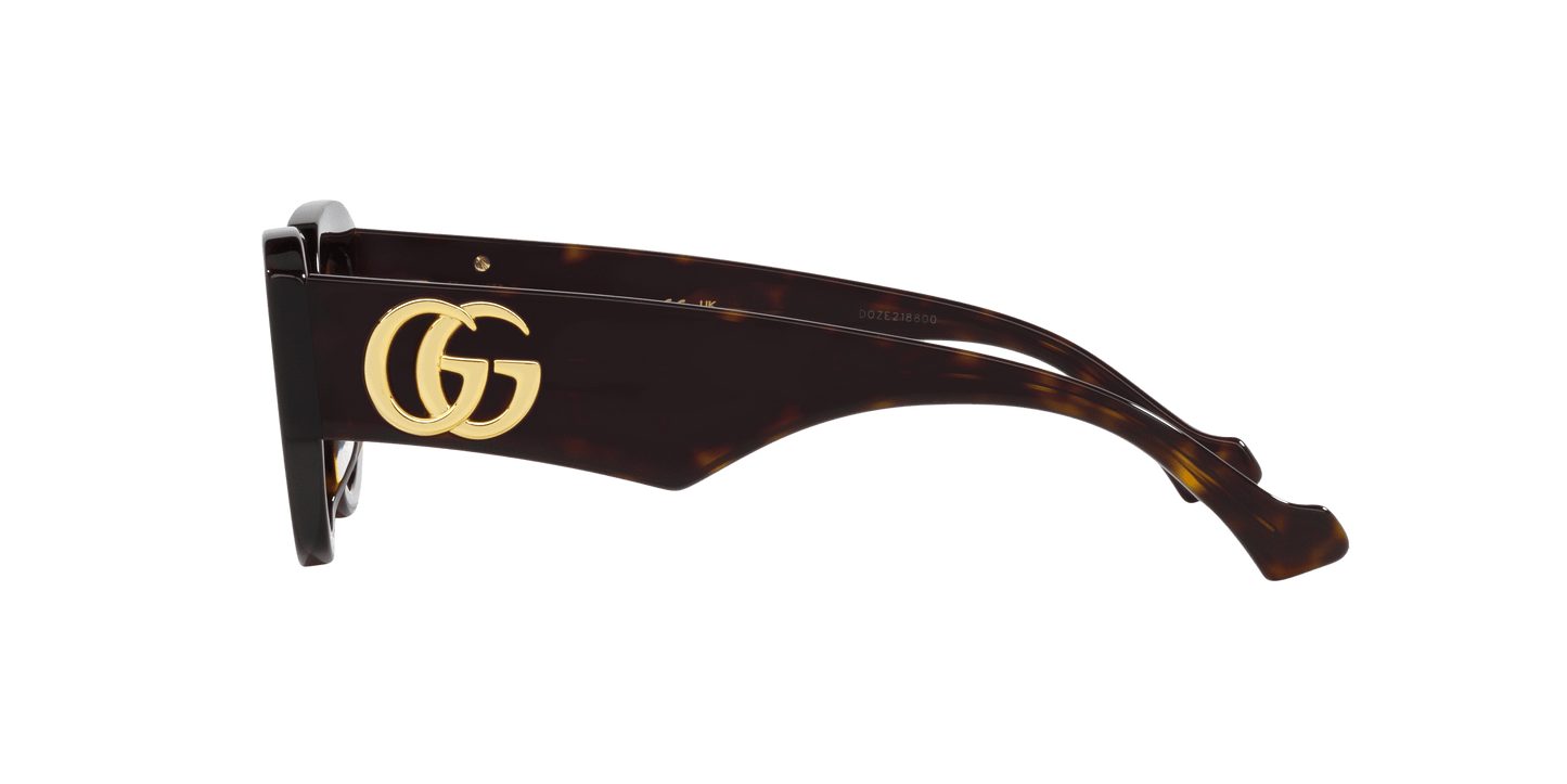 משקפי שמש של גוצ'י צב-חום | GUCCI GG1421S Tortoise-Brown