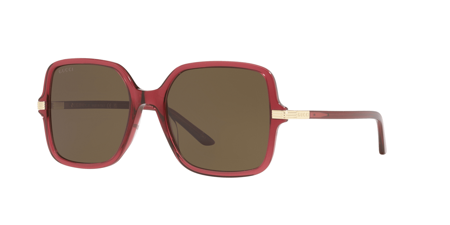 משקפי שמש של גוצ'י בורדו-חום | GUCCI GG1449S Burgundy-Brown