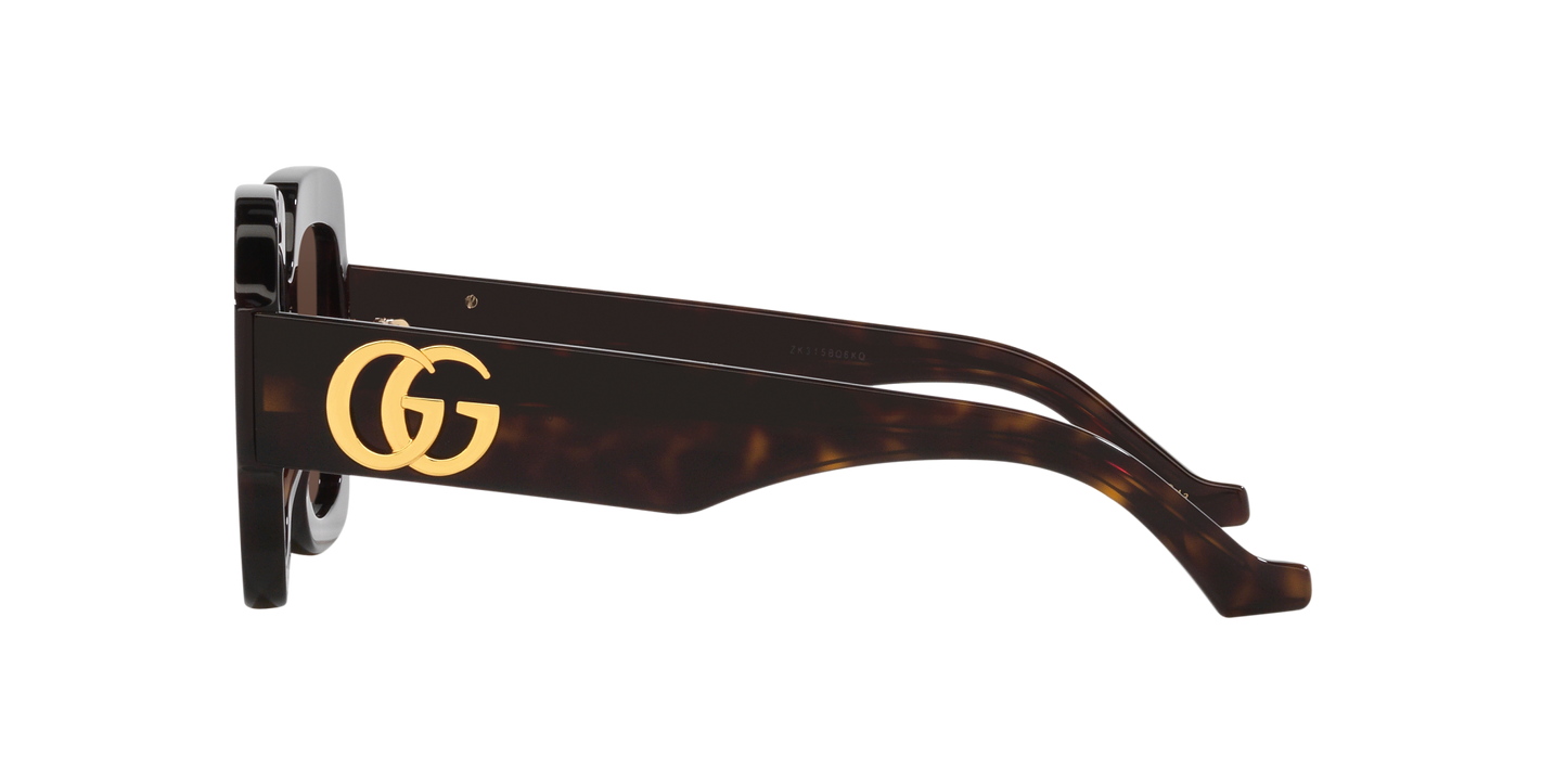 משקפי שמש של גוצ'י צב-חום | GUCCI GG1547S Tortoise-Brown