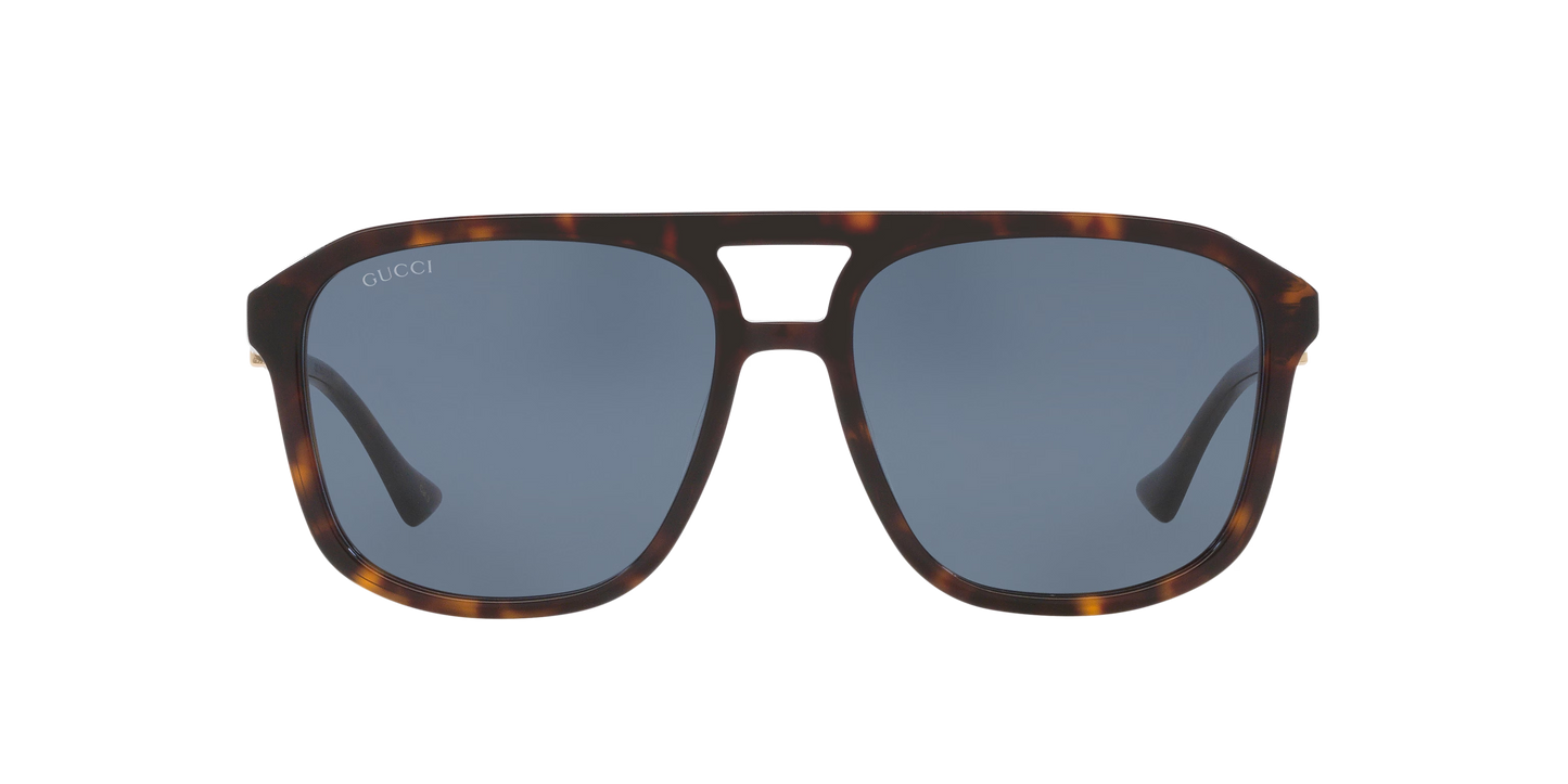 משקפי שמש של גוצ'י צב-כחול | GUCCI GG1494S Tortoise-Blue