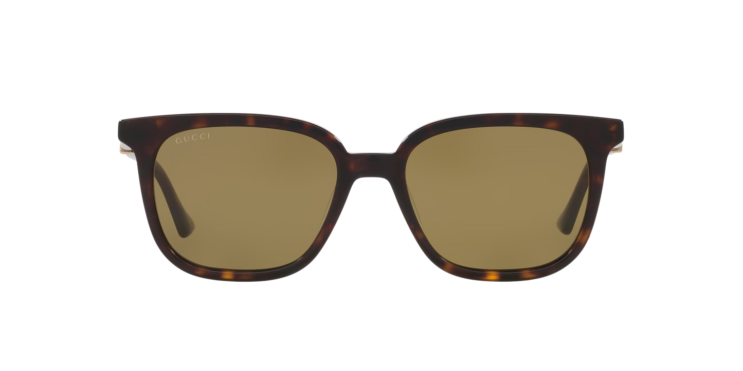 משקפי שמש של גוצ'י צב-ירוק | GUCCI GG1493S Tortoise-Green