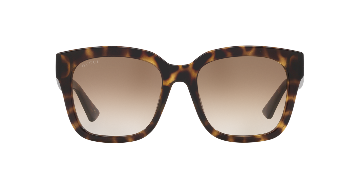 משקפי שמש של גוצ'י צב-חום | GUCCI GG1338SK Tortoise-Brown