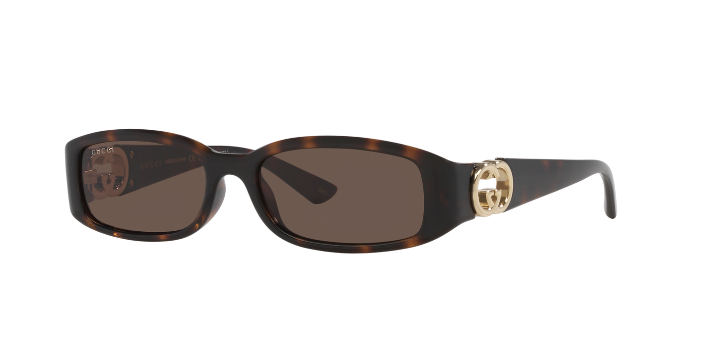 משקפי שמש של גוצ'י צב-חום | GUCCI GG1661S Tortoise-Brown