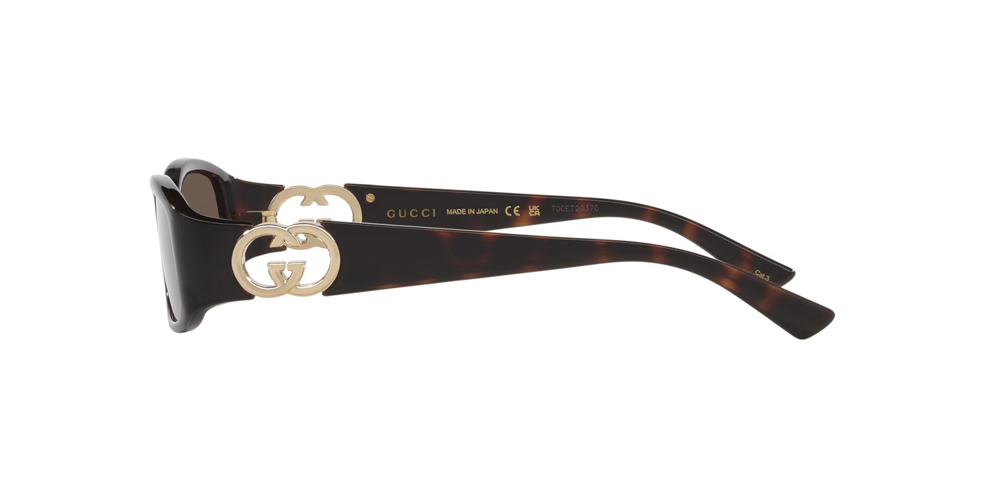 משקפי שמש של גוצ'י צב-חום | GUCCI GG1661S Tortoise-Brown