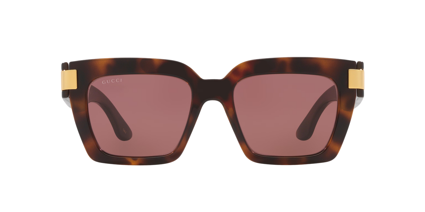 משקפי שמש של גוצ'י צב-סיגלית | GUCCI GG1689S Tortoise-Violet