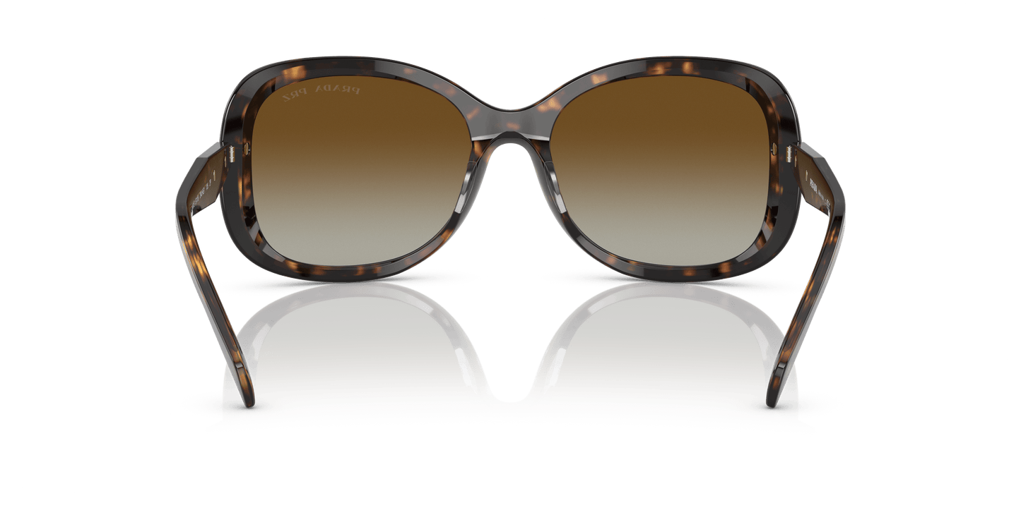 Prada Sunglasses Tortoise-Polar Brown Gradient | PRADA PR 04ZS Tortoise-Polar Brown Gradient