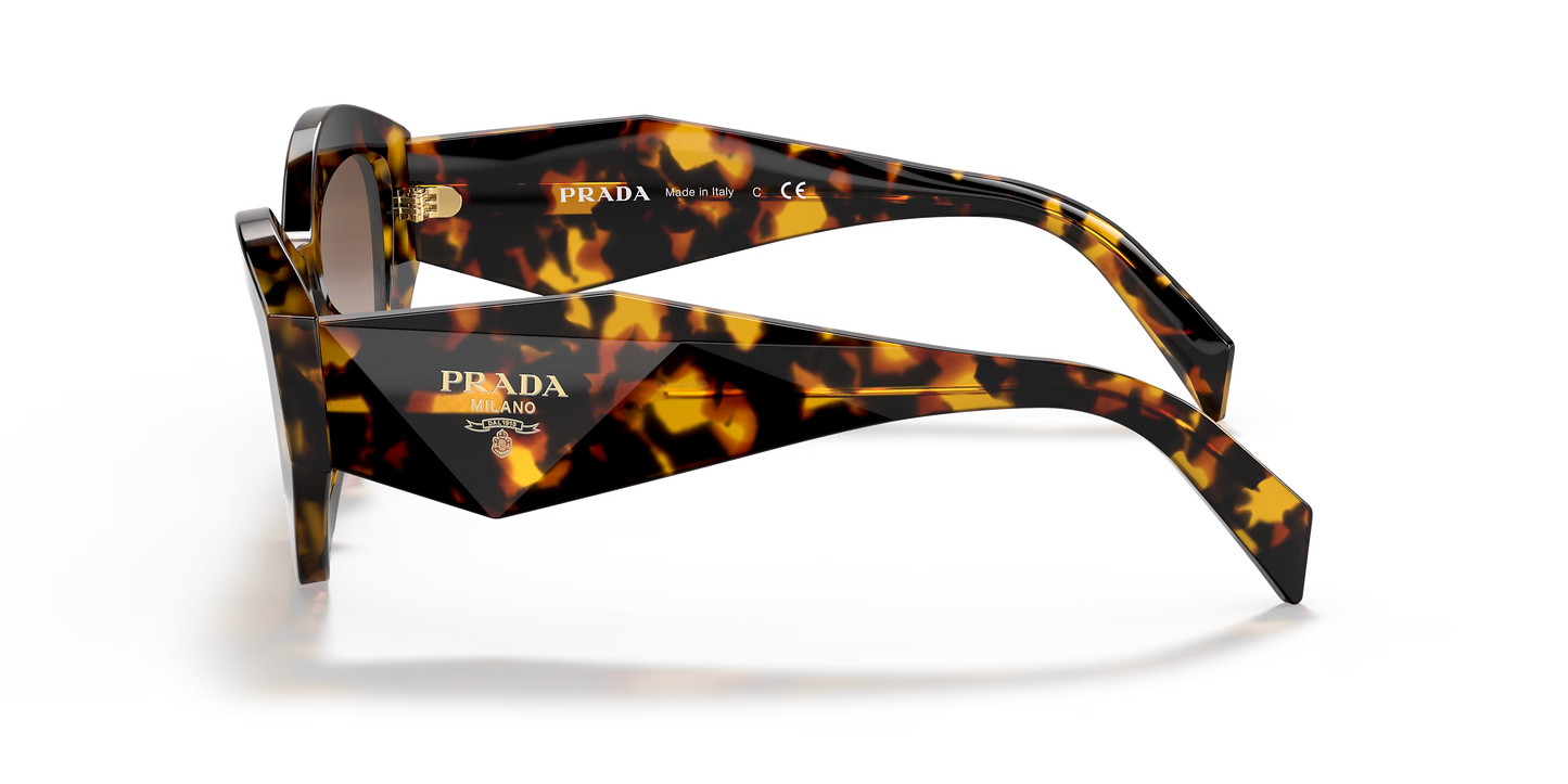 Prada Sunglasses Tortoise-Brown | Prada PR 07YS Tortoise-Brown