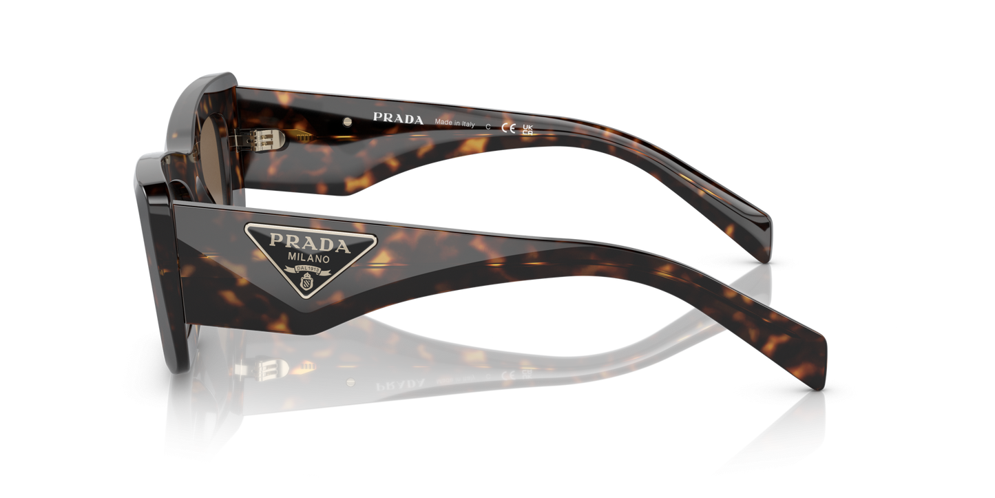 Prada Sunglasses Tortoise-Dark Brown | PRADA PR 13ZS Tortoise-Dark Brown