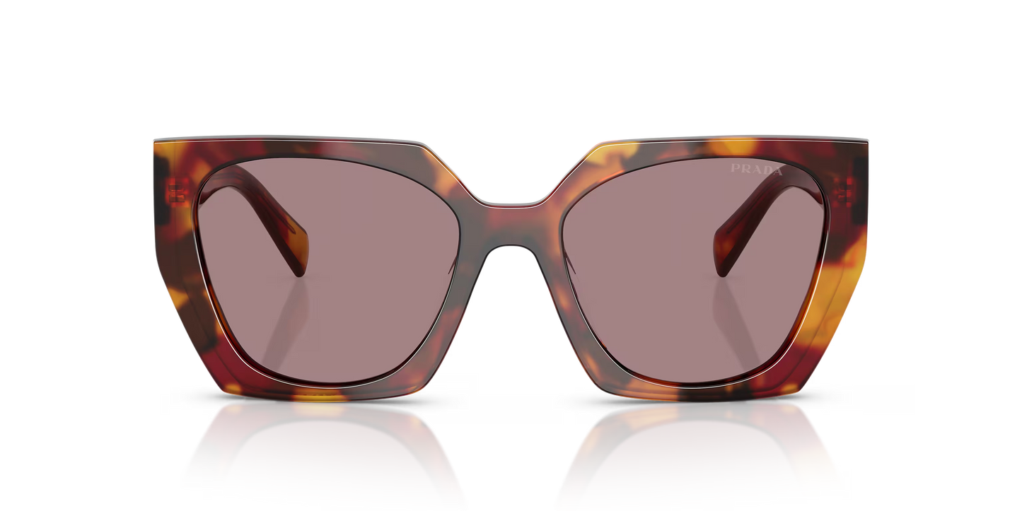 Prada Sunglasses Tortoise-Violet | Prada PR 15WS Tortoise-Violet