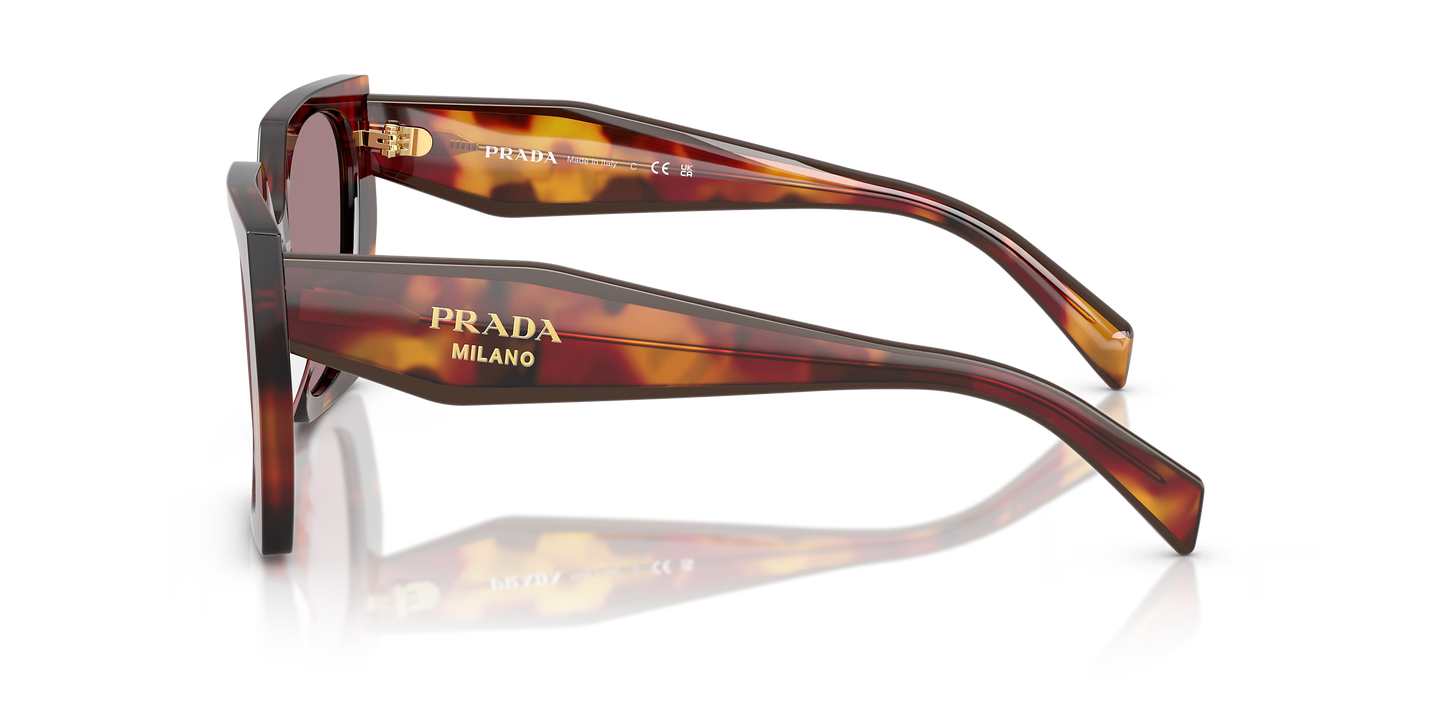 Prada Sunglasses Tortoise-Violet | Prada PR 15WS Tortoise-Violet