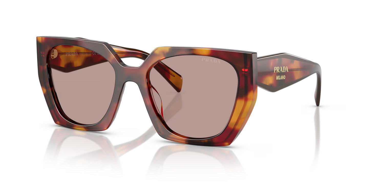 Prada Sunglasses Tortoise-Violet | Prada PR 15WS Tortoise-Violet