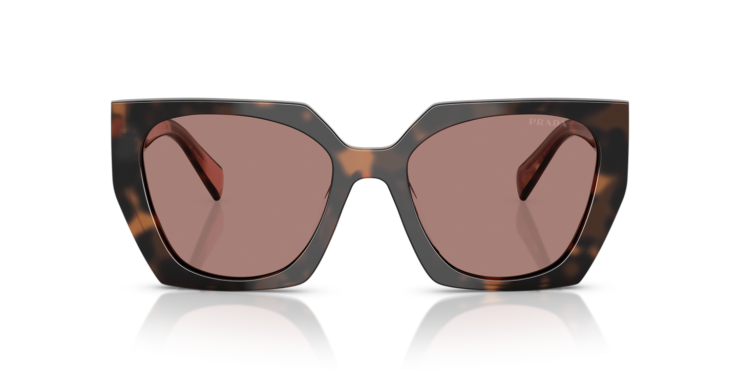 Prada Sunglasses Tortoise-Brown | Prada PR 15WS Tortoise-Brown